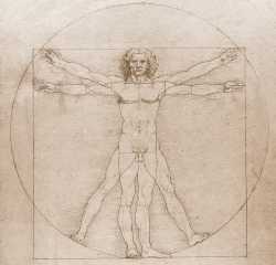 Leonard De Vinci Da Vinci Vitruve
