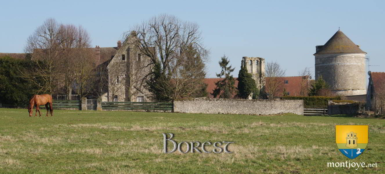 Village de Borest avec les restes de l'église, ainsi qu'un ancien Pigeonnier.