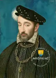 Henri II King Of France Roi