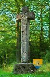 Croix Pucelle Jean De Dunois 1456 Jeanne Darc