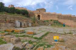 Forum Romain Chellah