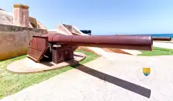 Canon Allemand 