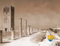 Tour Hassan 1950 Photo Ancienne