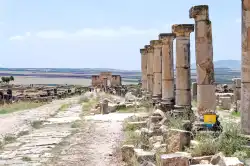 Decumanus Maximus Maison Palais Volubilis  Decumanus Maximus Maison Palais Volubilis