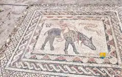 Mosaique Du Desultor  Mosaique Du Desultor