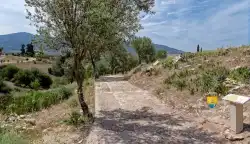 Chemin Volubilis  Chemin Volubilis