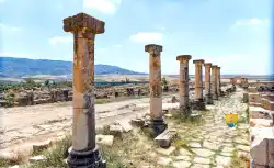 Decumanus Maximus Maison Colonne  Decumanus Maximus Maison Colonne