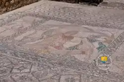 Mosaique Hylas  Mosaique Hylas