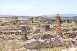 Ruine De Volubilis   Ruine De Volubilis