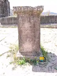 Volubilis Est Indique Ici  Volubilis Est Indique Ici
