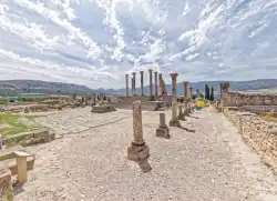 Volubilis Le Capitole Volubilis Le Capitole