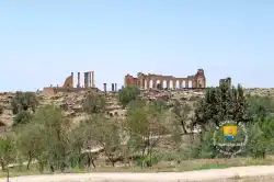Volubilis Ruine Romaine Du Maroc  Volubilis Ruine Romaine Du Maroc