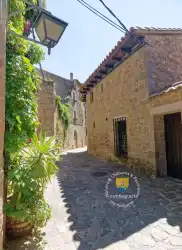 Rue Medievale Sos Del Rey Catolico