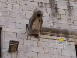 Gargouille Medievale Gargouille Medievale