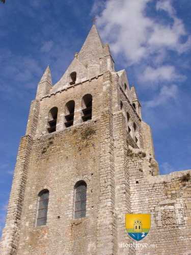 Collégiale de Saint-Liphard et son clocher