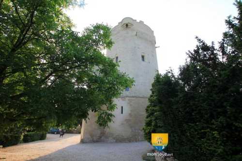 Donjon de Droizy - Château de Droizy