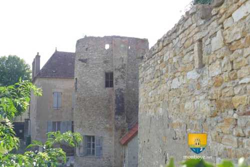 Tour Aligros de Saint-Pierre le Moutier, on remarquera la cheminée et la latrine sur la partie droite.